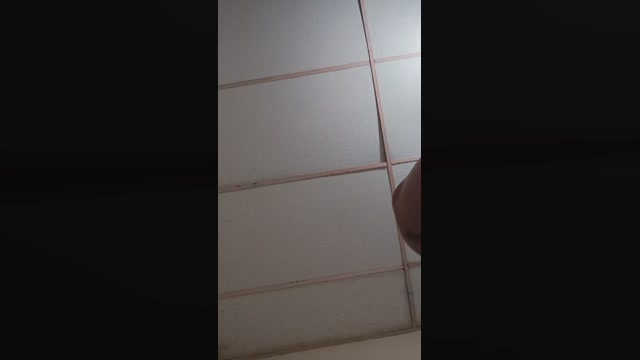 Luci_stream  13-07-2022